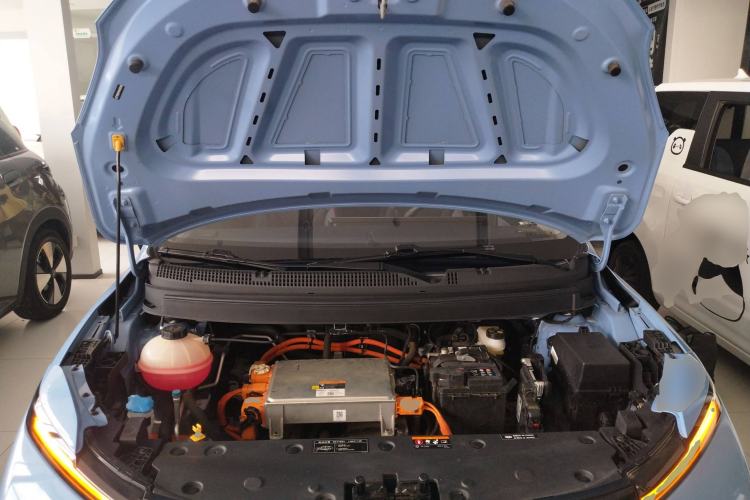 Used Geometry E Firefly 2022 320KM Cute Tiger 4-Seater
