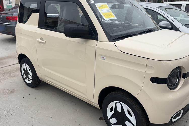 Used  Panda 2025 210 km – Yuanqi Bear
