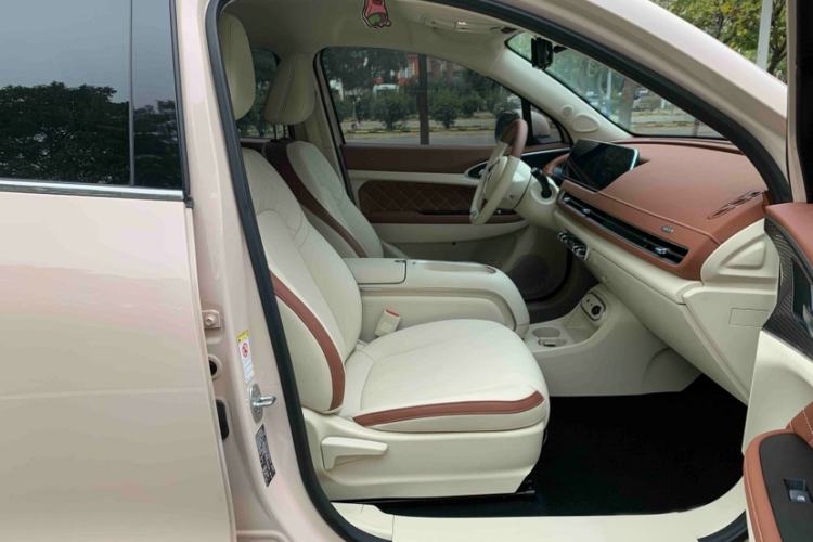 Used ORA Good Cat 2023 401 km Standard Range Luxury Version Lithium Iron Phosphate