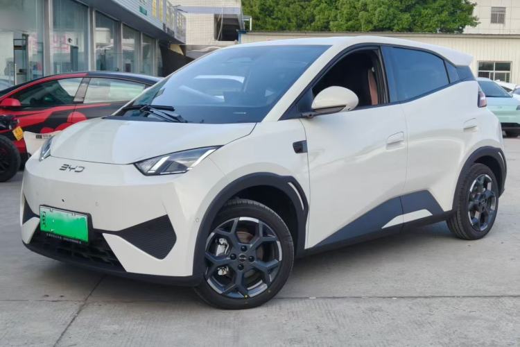 Used BYD Seagull 2025 Smart Drive Version 305 km Freedom Edition
