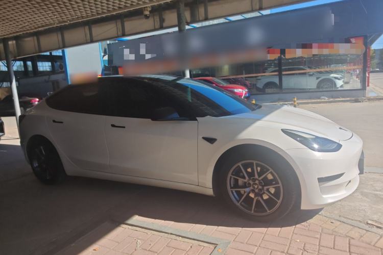 Used Tesla Model 3 2021 Revised Version Standard Range Rear-Wheel Drive Upgraded Edition 3D1
