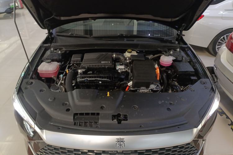 Used BYD Qin PLUS 2024 HONOR Edition DM-i 55KM Leading Model
