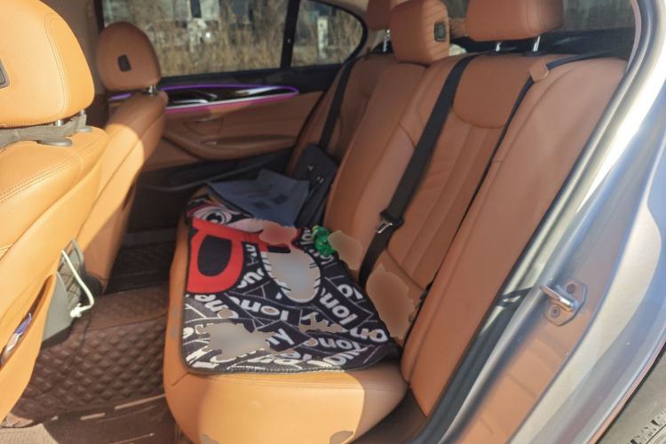 Used BMW 5 Series 2018 528Li Launch Special Edition
