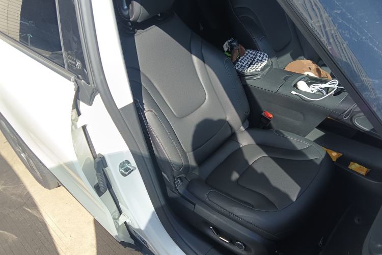 Used  #1 2023 Pro Edition
