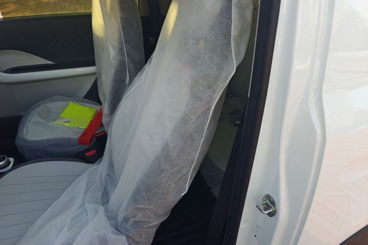 Used  Panda 2025 210km Panda Kart