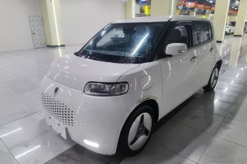 Used ORA White Cat 2020 360km Standard Version