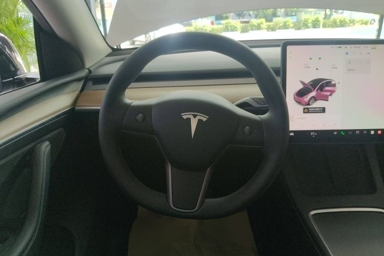 Used Tesla Model Y 2021 Standard Range Rear-Wheel Drive Version
