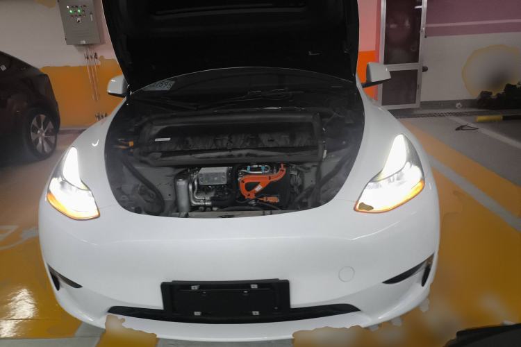 Used Tesla Model Y 2021 Standard Range Rear-Wheel Drive Version
