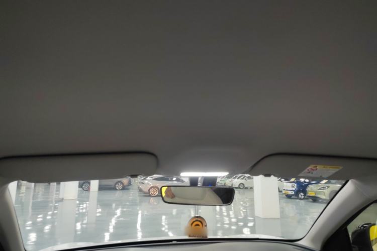 Used  Geome 2025 310km Youth Edition