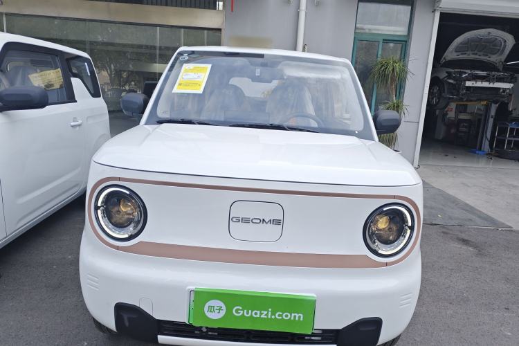 Used  Panda 2024 Panda Mini 200km Endurance Bear