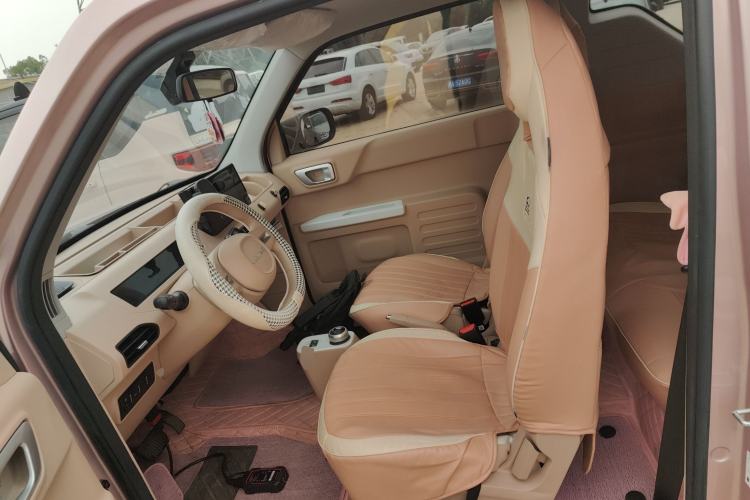 Used  Panda 2023 Panda Mini 200km Endurance Bear
