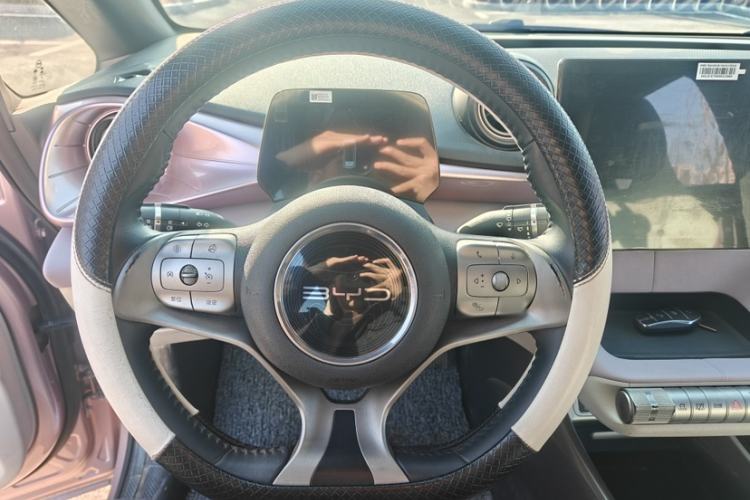 Used BYD Dolphin 2021 405 km Free Version
