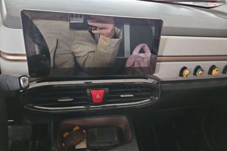 Used SOL E10X 2022 Flower Fairy Design Four-Leaf Clover
