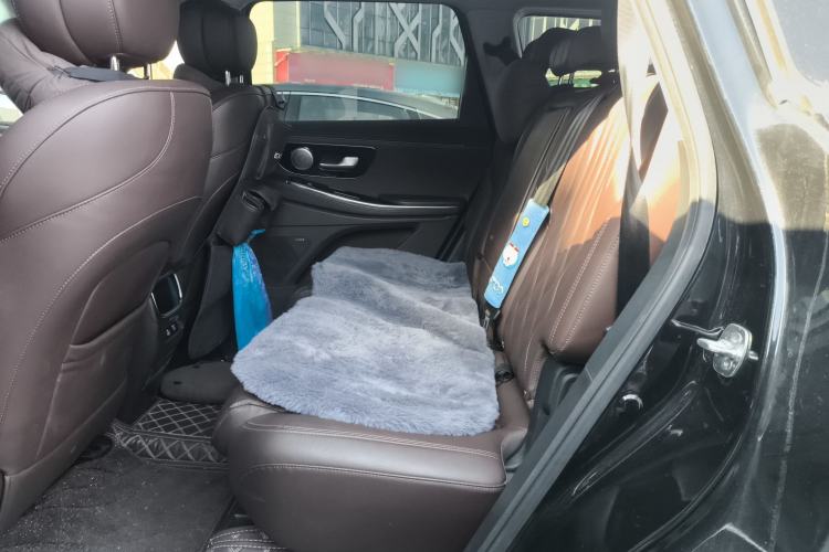 Used  Lanyue 2023 400T Two-Wheel Drive Starry Edition 7-Seater
