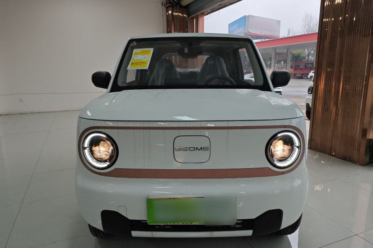 Used  Panda 2024 Panda Mini 200km Endurance Bear