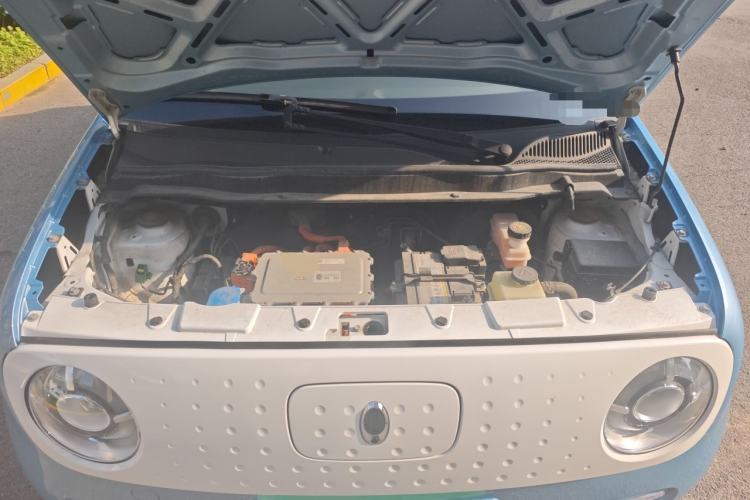 Used ORA Black Cat 2021 351 km Standard Version
