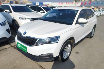 Used Skoda Kamiq 2020 1.5L Automatic Standard Edition