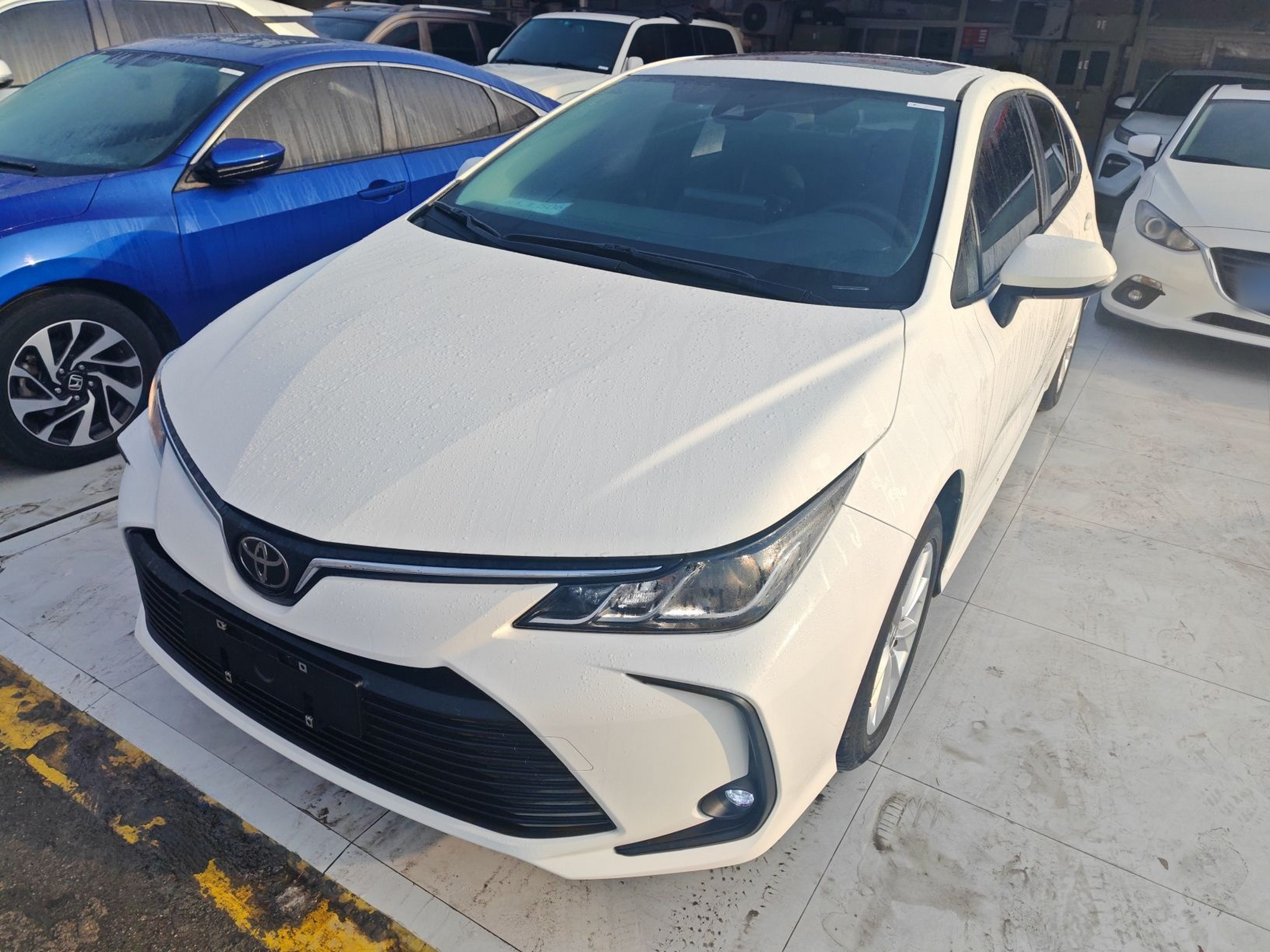 تحت مقدمة السيارة