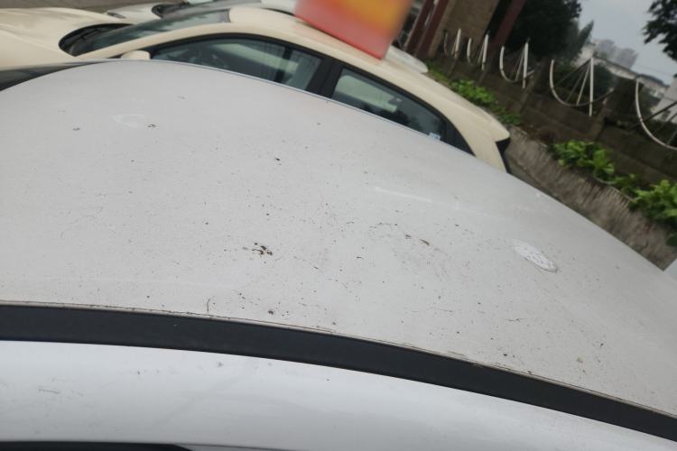 Used BYD Seal 05 DM-i 2025 DM-i Smart Drive 55KM Luxury Model
