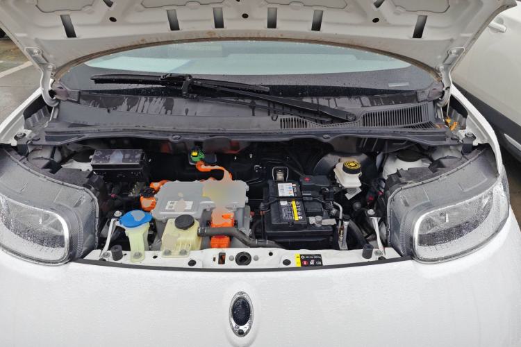 Used ORA White Cat 2020 305 km Luxury Version
