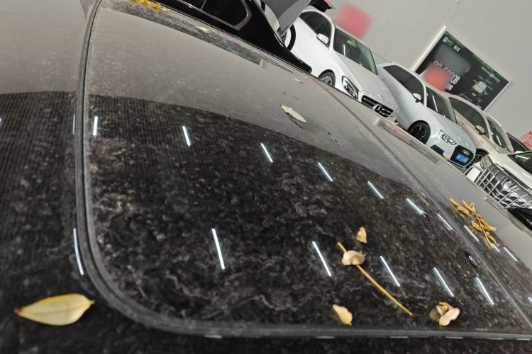 Used BMW 5 Series New Energy 2019 530Le Luxury Package