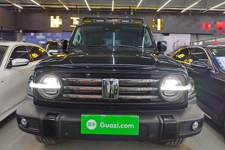 Used Tank 300 2024 2.0T Crosser
