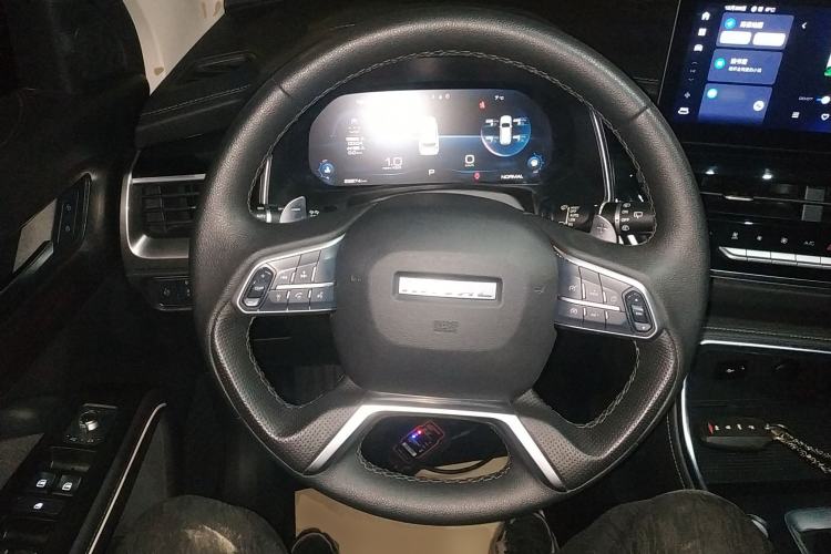 Used Haval H6 2021 National Trend Edition 1.5T Automatic Champion Version