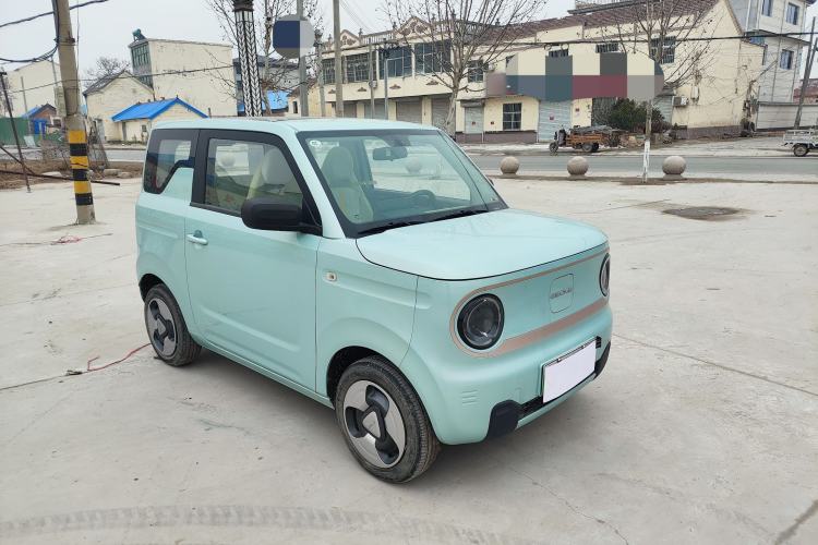 Used  Panda 2023 Panda Mini 200km Dynamic Bear
