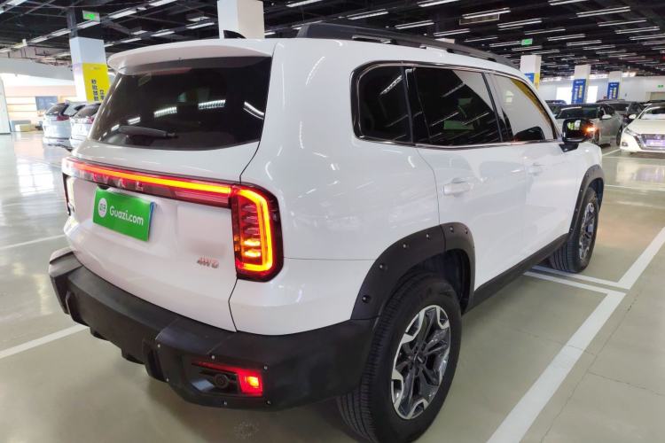 Used Haval DARGO 2024 2.0T DCT Chinese Rural Dog Edition
