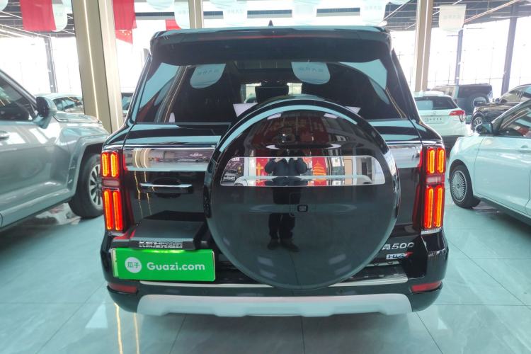 Used Tank 500 New Energy 2024 Hi4-T
