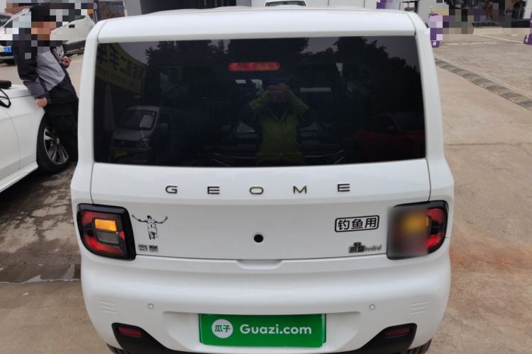 Used  Panda 2024 Panda Mini 200km Endurance Bear