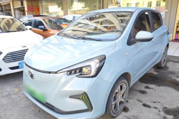 Used Oshan Benni E-Star 2020 Heart Edition Lithium Iron Phosphate (31.95 kWh)