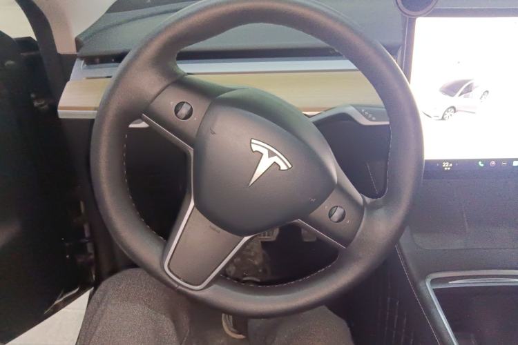 Used Tesla Model Y 2021 Standard Range Rear-Wheel Drive Version
