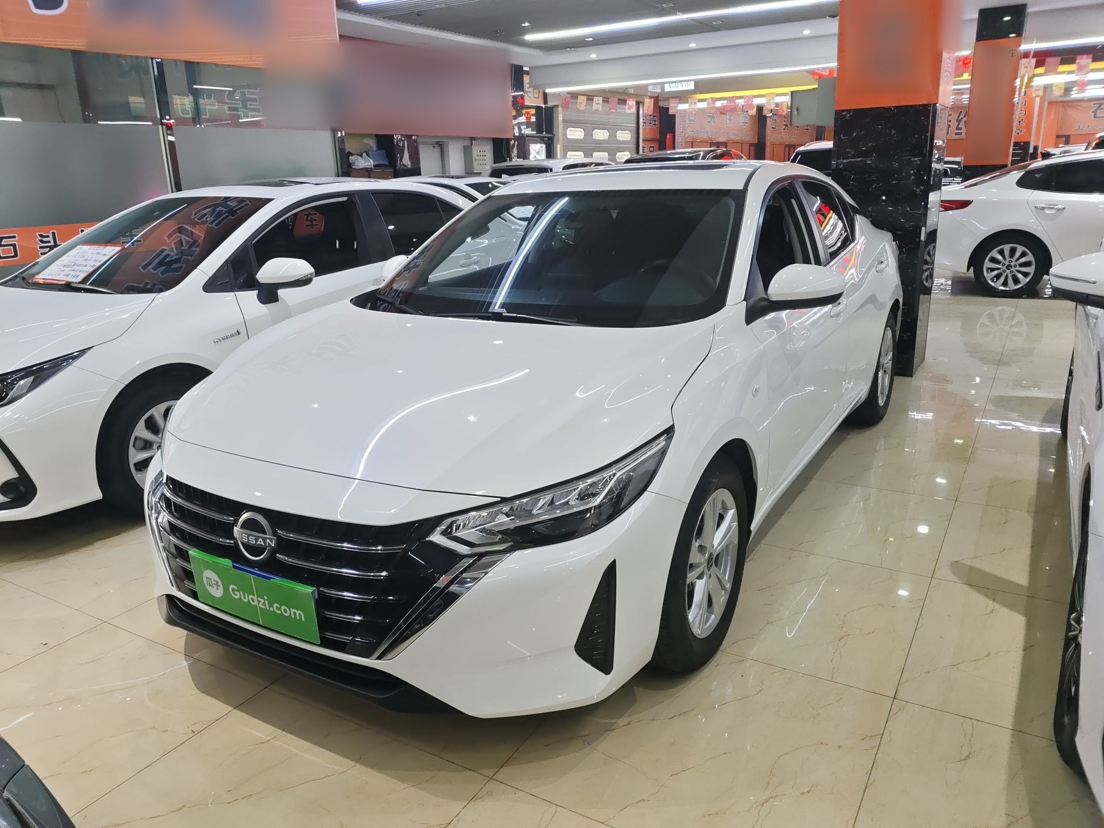 تحت مقدمة السيارة