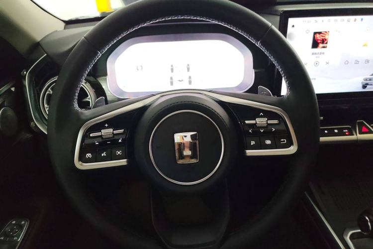 Used Tank 400 New Energy 2024 Hi4-T City Edition