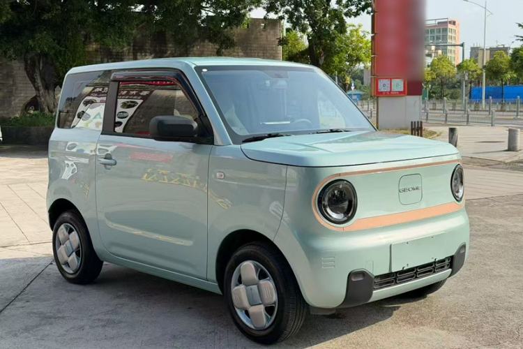 Used  Panda 2024 Panda Mini 200km Endurance Bear
