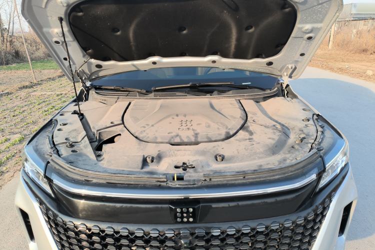 Used  E5 2023 1.5L DE-i 100KM Zhenxiang Edition 7-Seater
