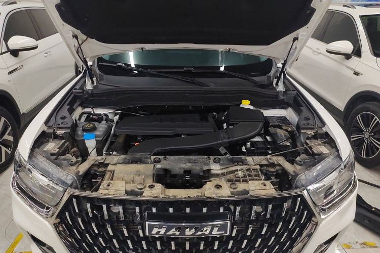 Used Haval H6 2023 National Trend Edition 1.5T Automatic Urban Version
