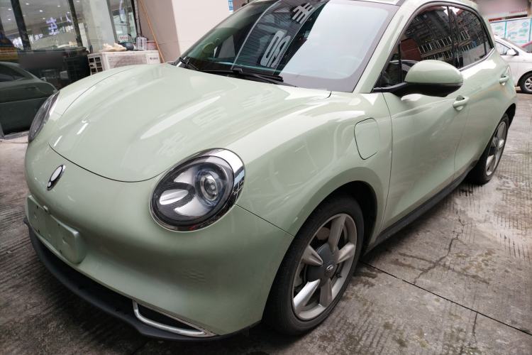 Used ORA Good Cat 2023 401 km Standard Range Luxury Version Lithium Iron Phosphate
