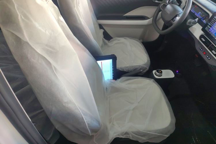 Used  Panda 2025 210 km – Yuanqi Bear
