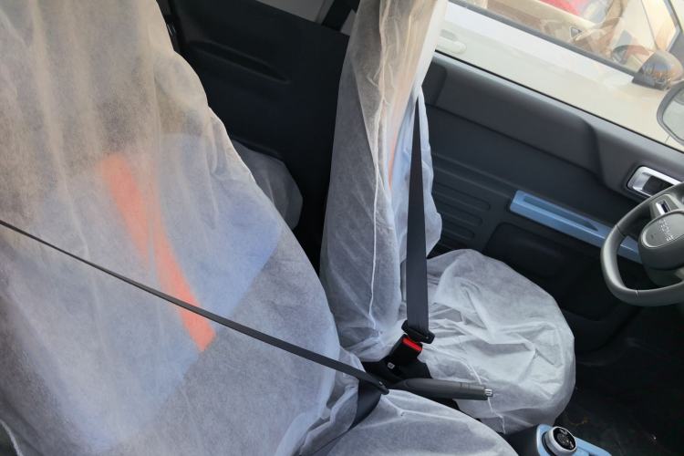 Used  Panda 2024 Panda Mini 200km Endurance Bear
