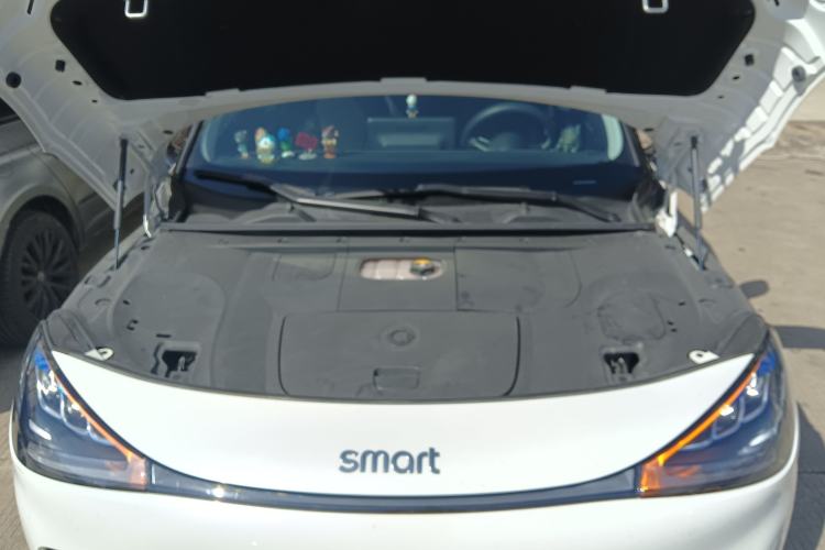 Used  #1 2023 Pro Edition
