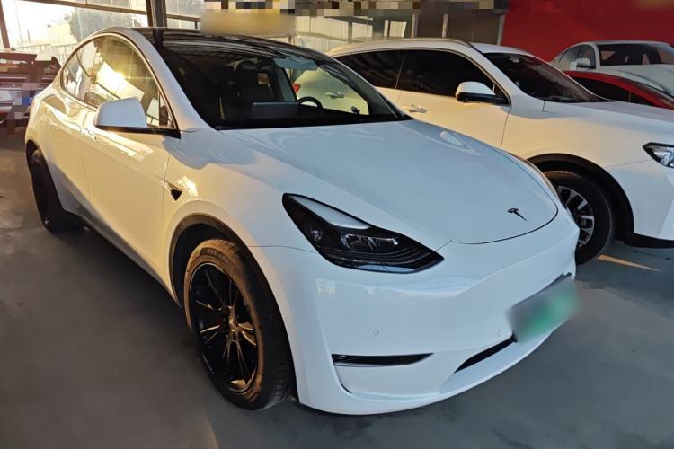 Used Tesla Model Y 2021 Standard Range Rear-Wheel Drive Version