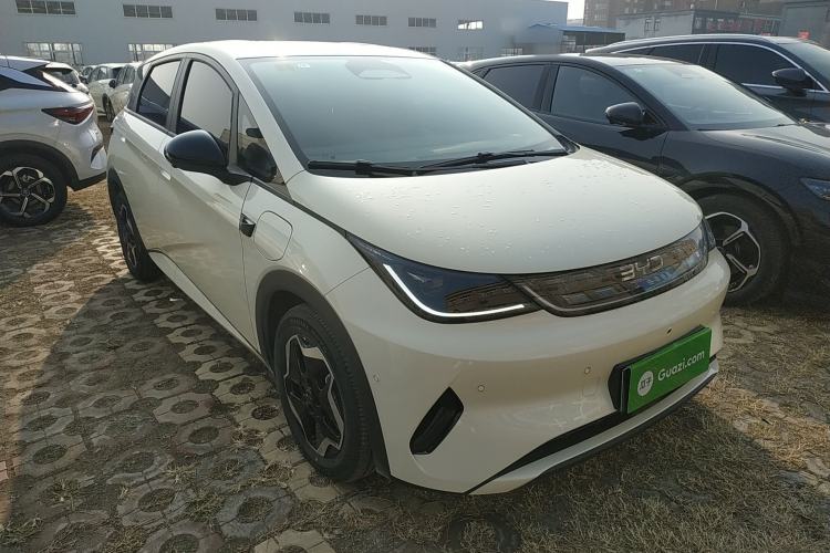 Used BYD Dolphin 2025 Smart Drive Version 420 km Freedom Edition
