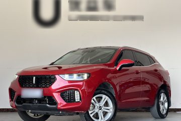 Used Wey VV5 2019 1.5T Two-Wheel Drive Color Pioneer