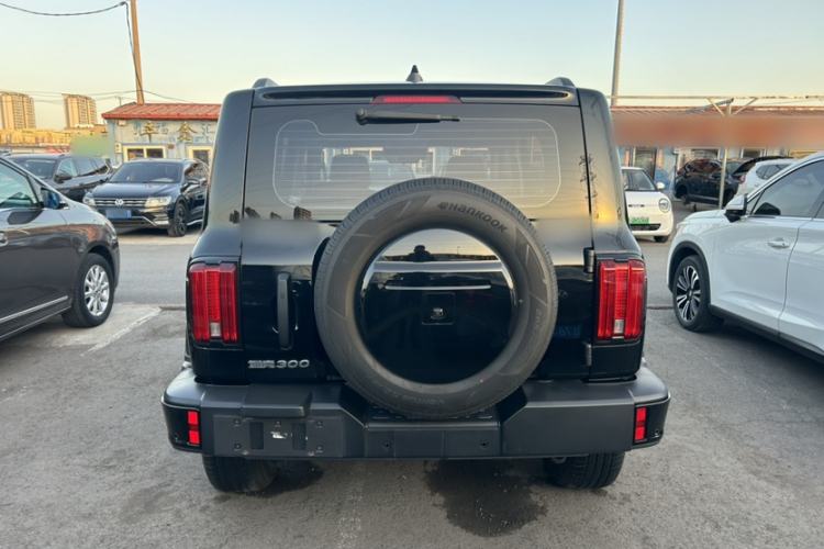 Used Tank 300 2024 2.0T Conqueror
