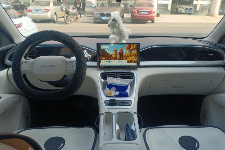 Used  Geome 2025 310km Youth Edition