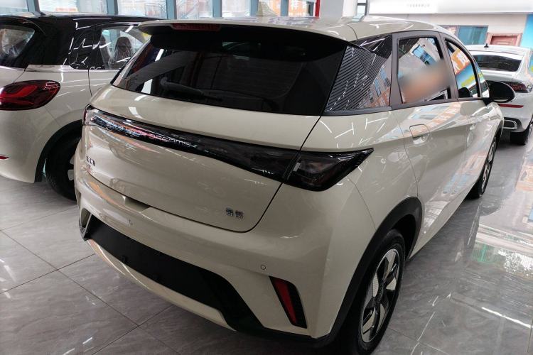 Used BYD Dolphin 2025 420km Free Edition
