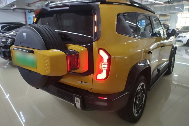 Used  G318 2025 Worry-Free Adventure Edition Four-Wheel Drive Secret Realm Version