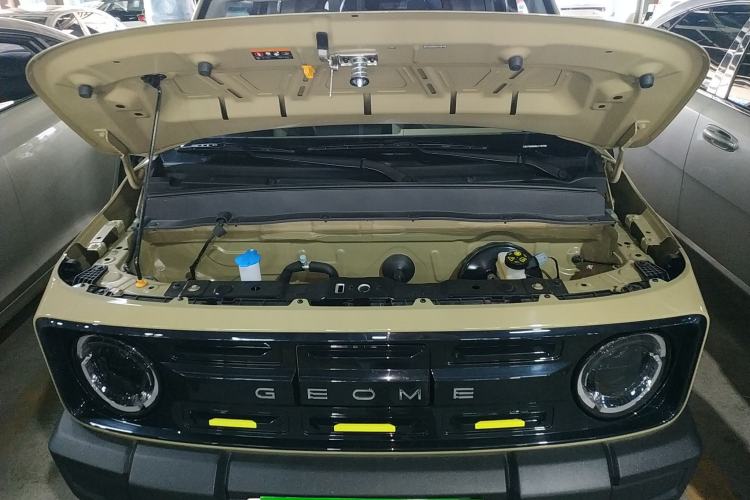 Used  Panda 2024 200km Panda Rider
